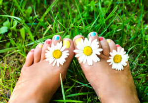 Female legs in daisies