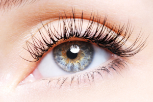 Woman eye with a curl false eyelashes