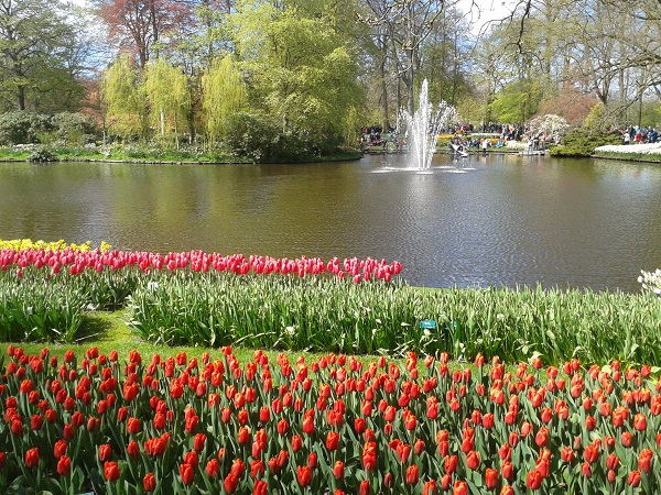 Widok-na-ogrod-Keukenhof